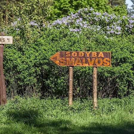 Sveciu Namai Smalvas Hotel Visaginas Bagian luar foto